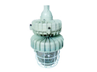 BAD83-MII series Explosion-Proof lamp