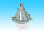 BAD51 series Explosion-Proof lamps