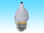 FAD62 Type water-proof dust-proof corrosion-proof lamp